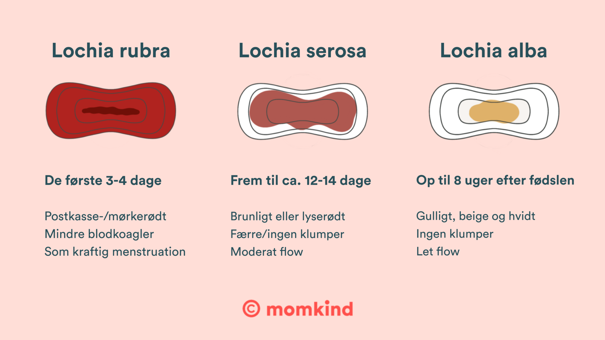 illustration der viser efterfødselsblødning og barselsflåd på tegninger af bind