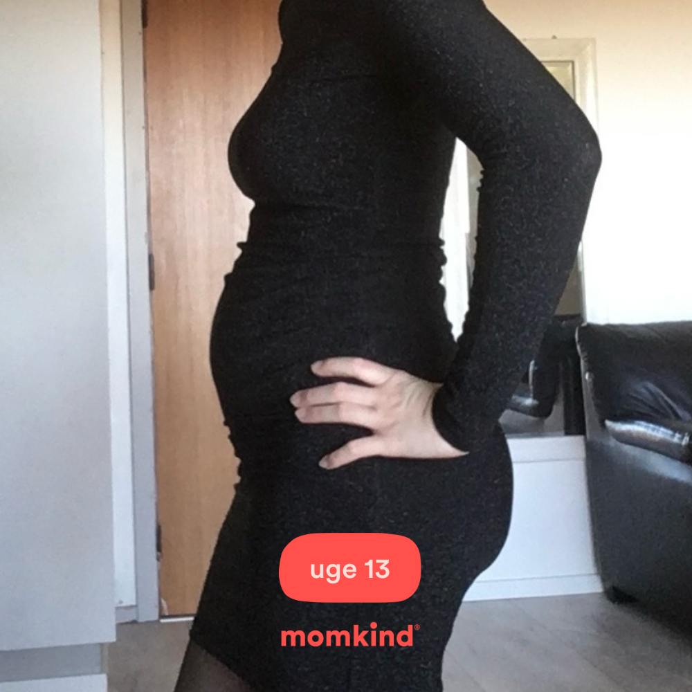 gravid uge 13 billeder