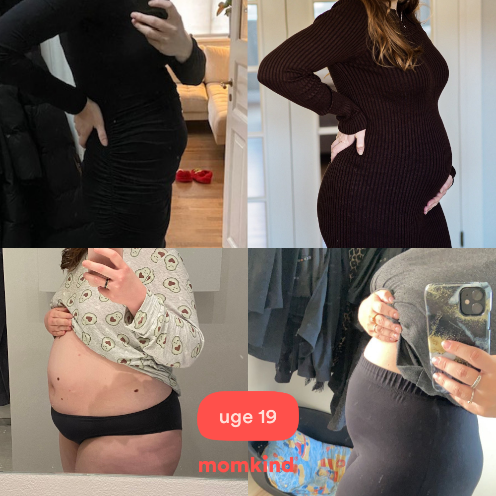 gravid uge 19 mavebilleder