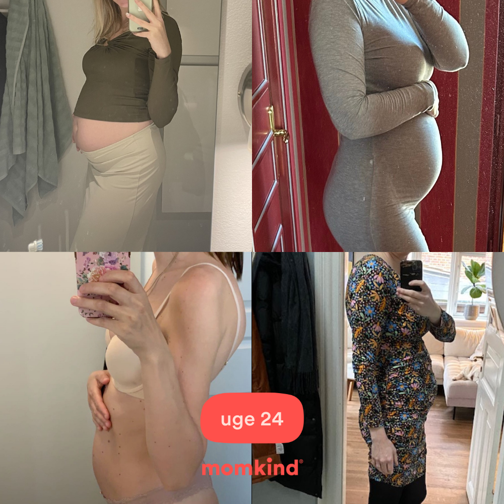 gravid uge 24 billeder