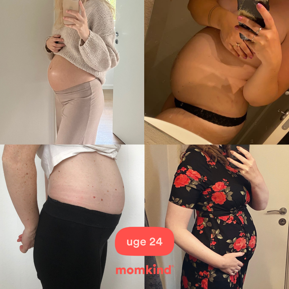 gravid uge 24 mavebilleder