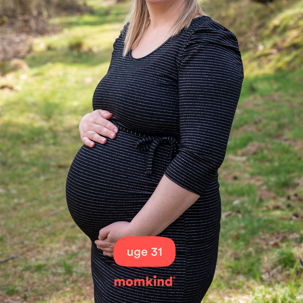 gravid uge 31 mavebilleder