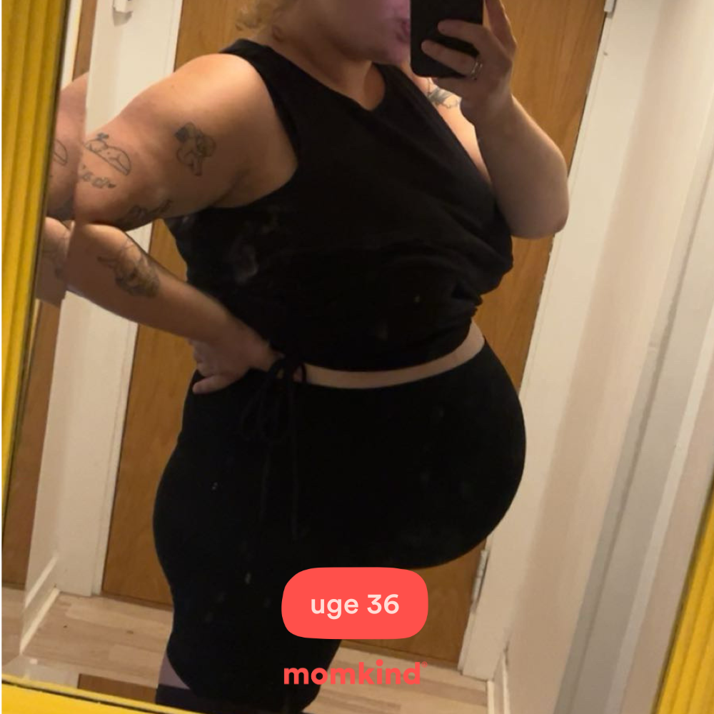 gravid uge 36 billeder