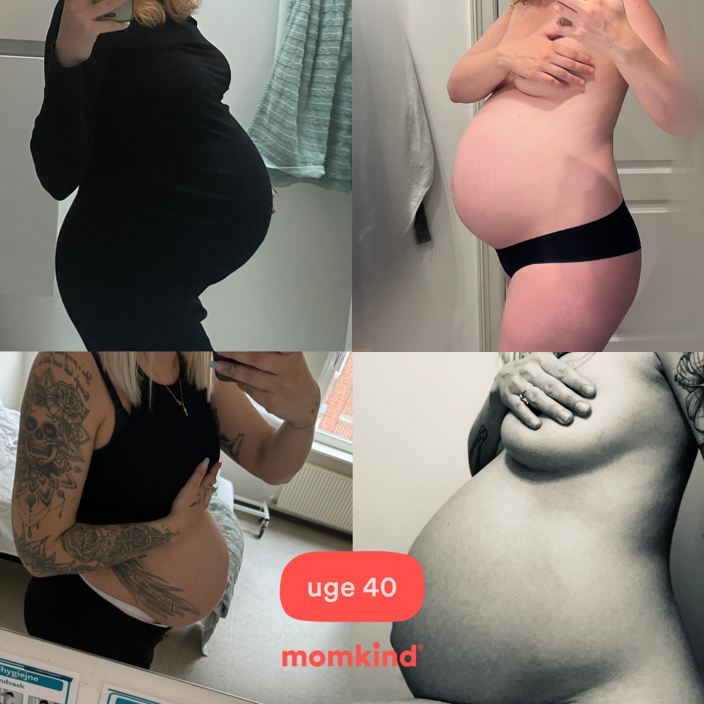 gravid uge 40 mavebilleder