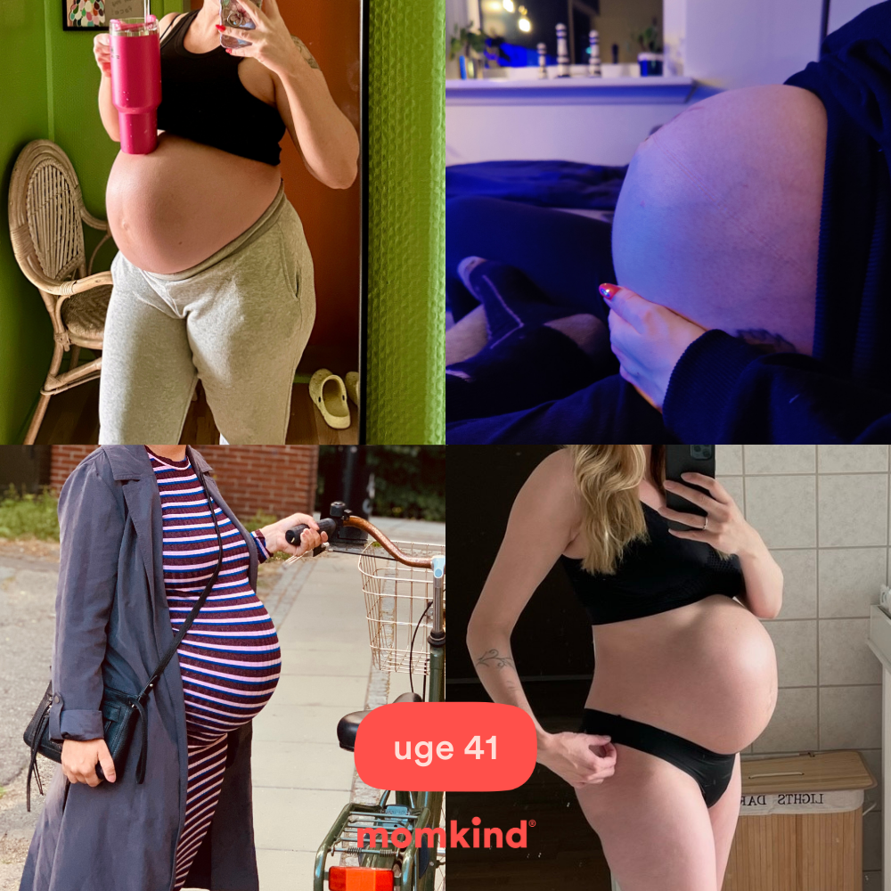 gravid uge 41 mavebilleder
