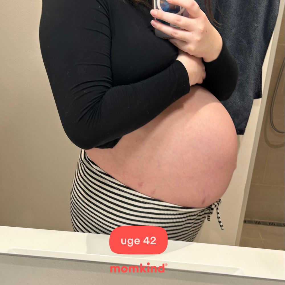 gravid uge 42 billeder