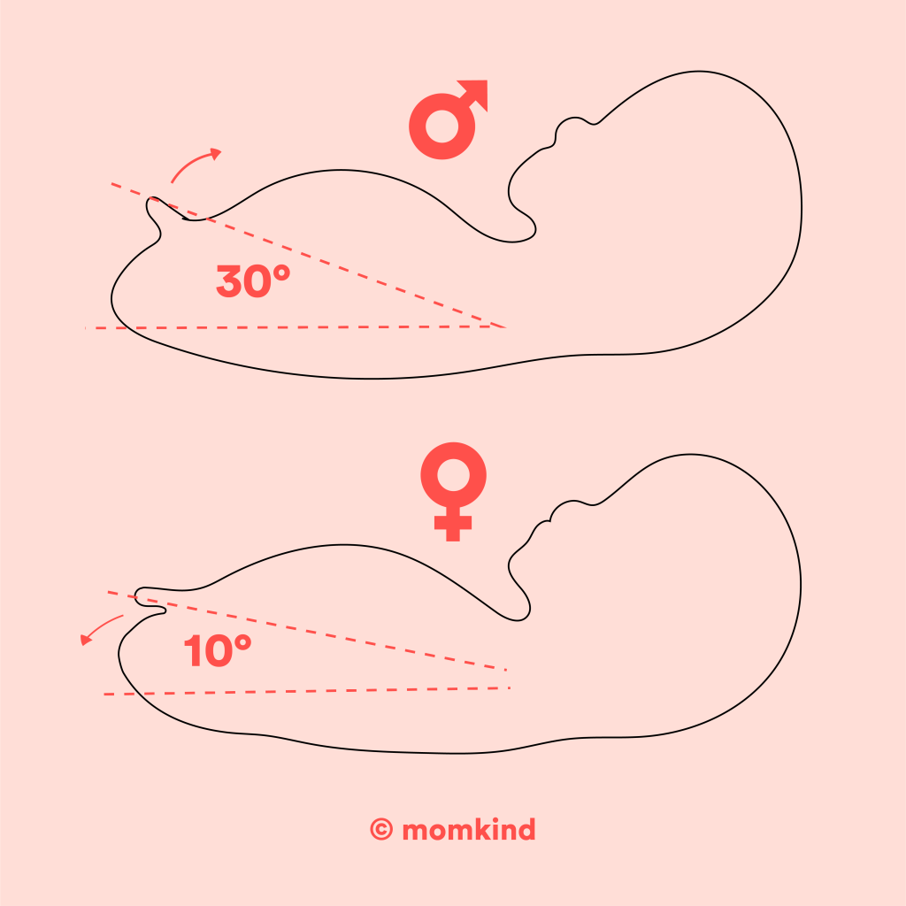 momkind illustration viser nub theory