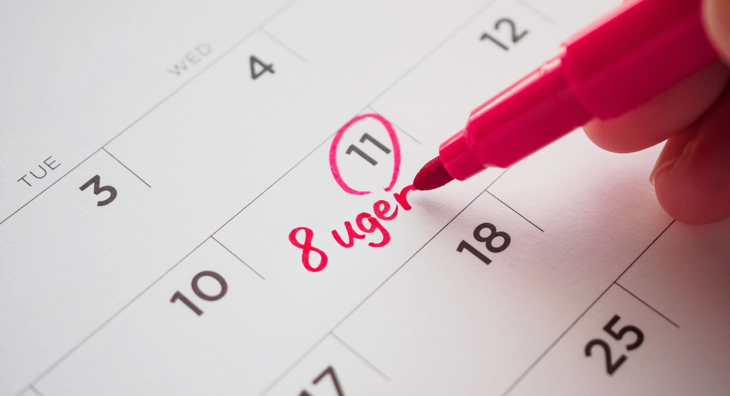 Her er alt du skal vide om 8 ugers undersøgelsen efter fødslen