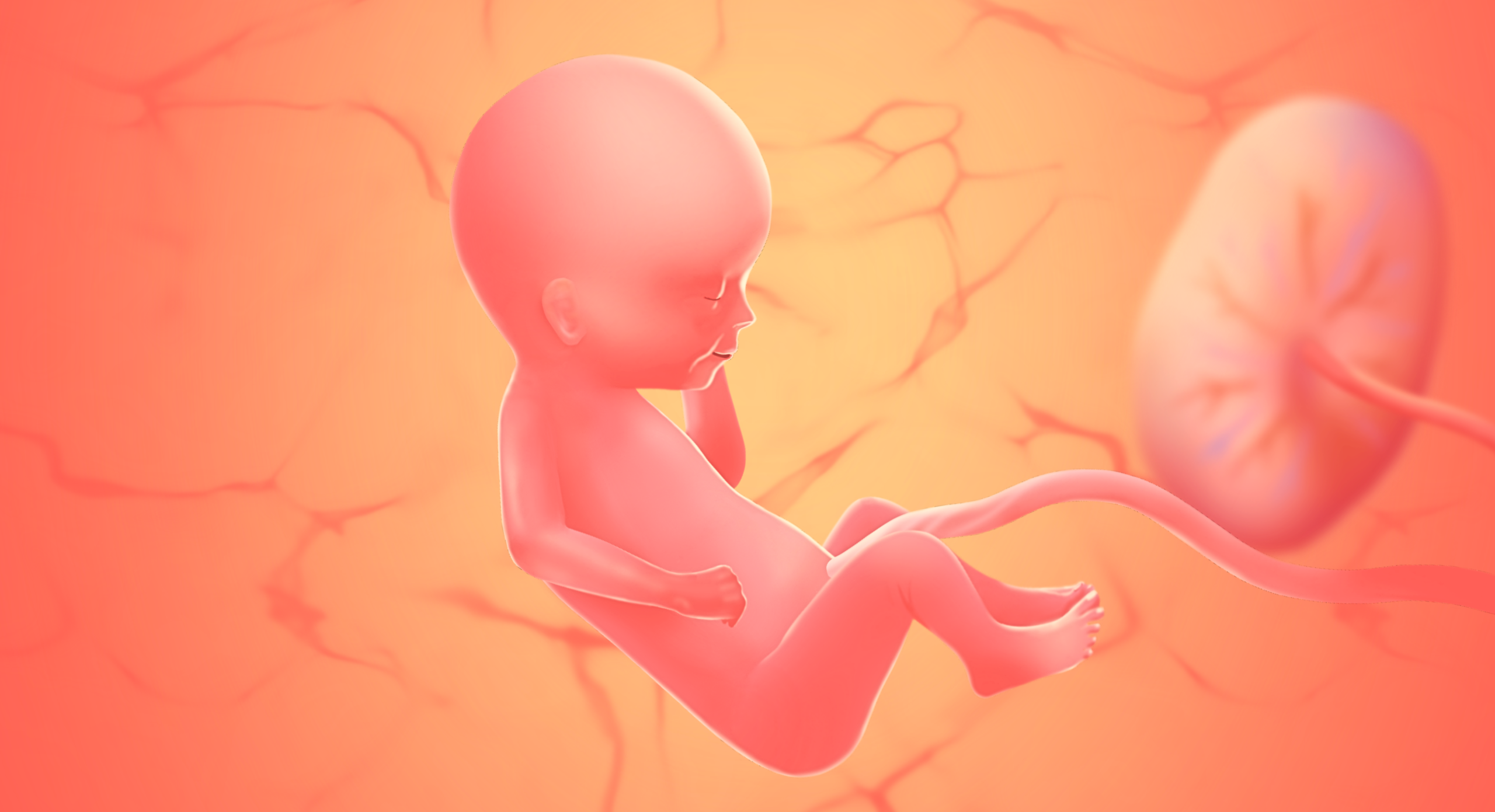 gravid uge 27