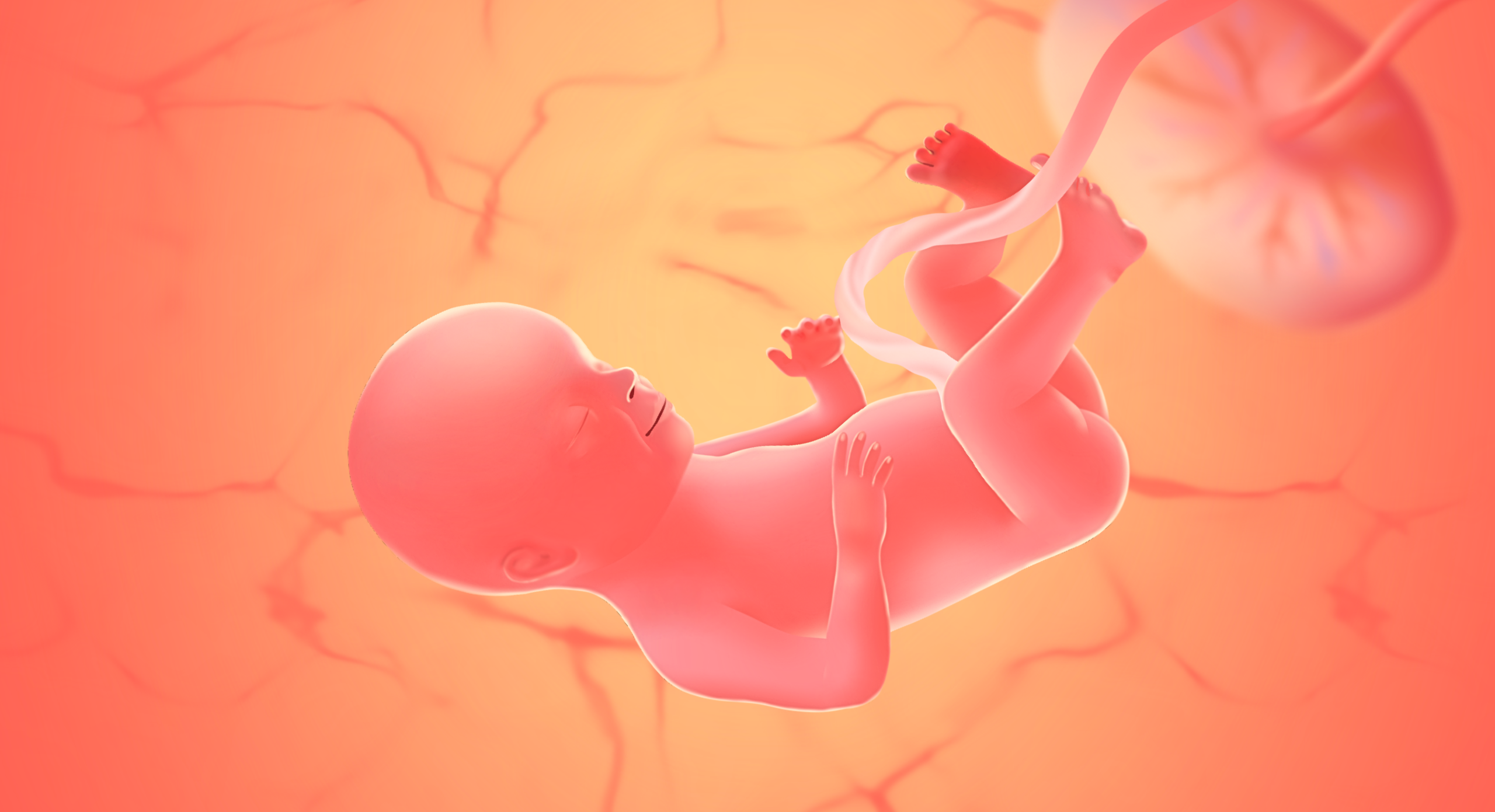 Gravid uge 28 (27+0 - 27+6)