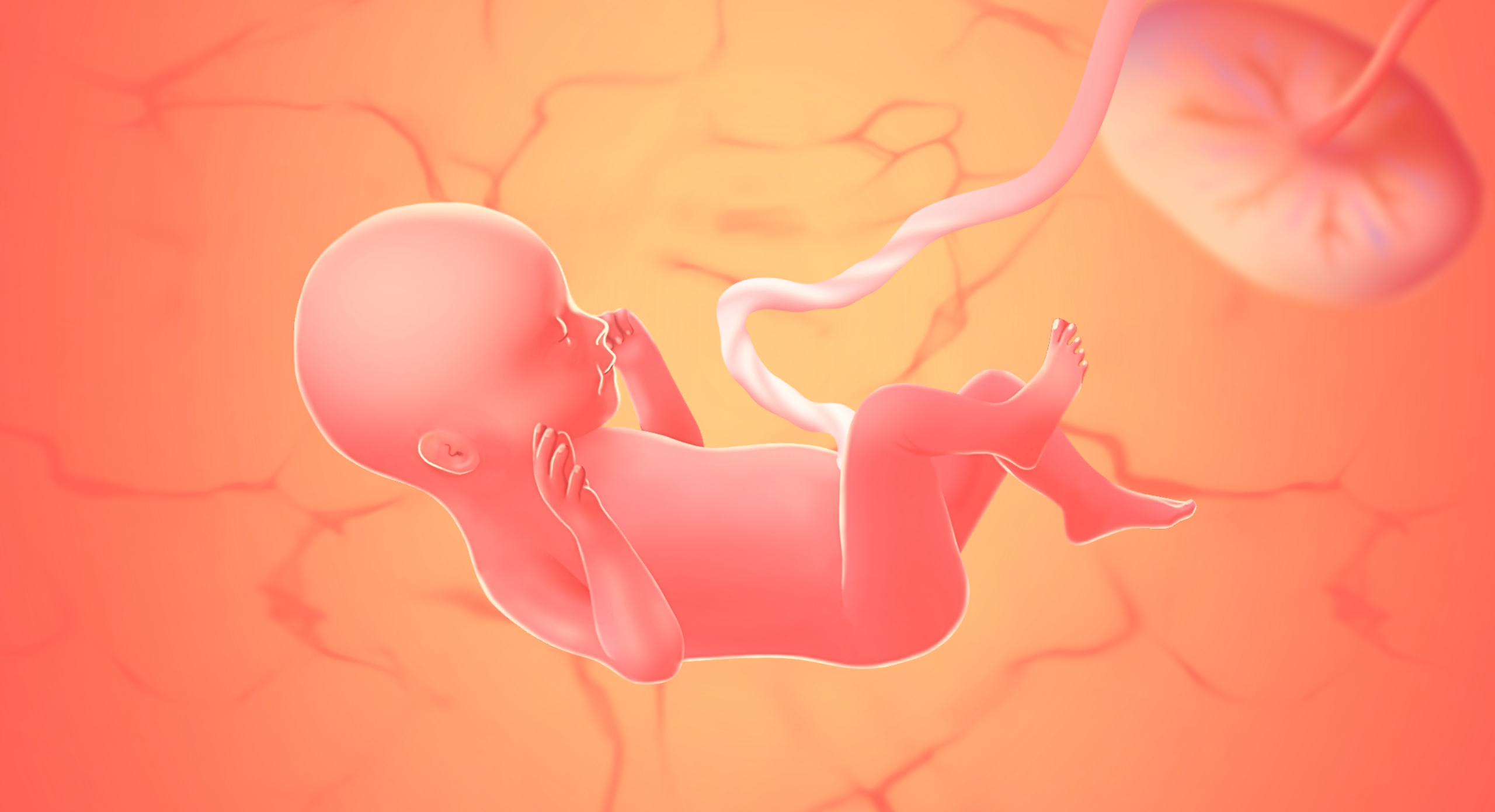gravid uge 29