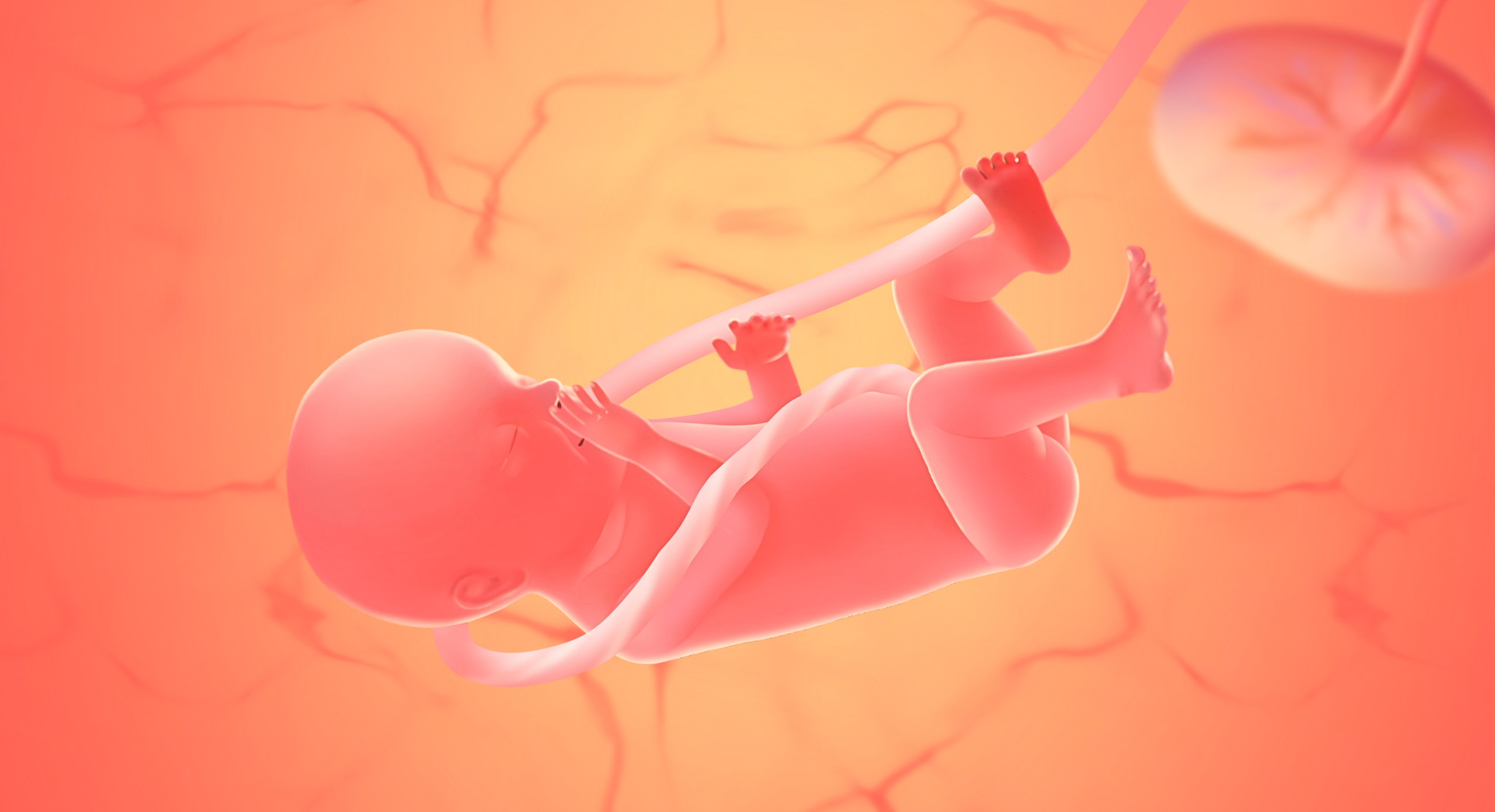 gravid uge 30