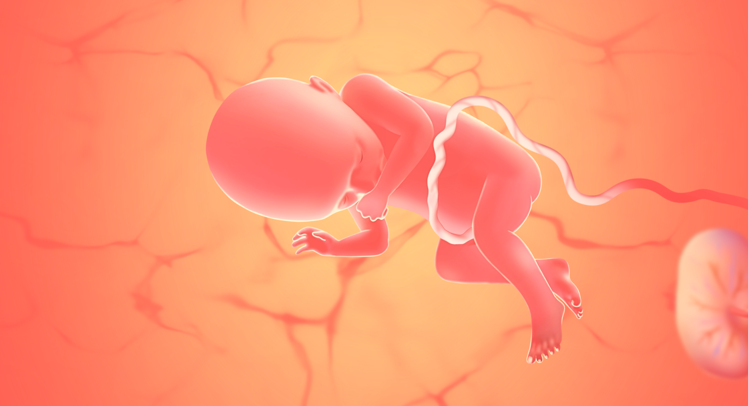 gravid uge 36