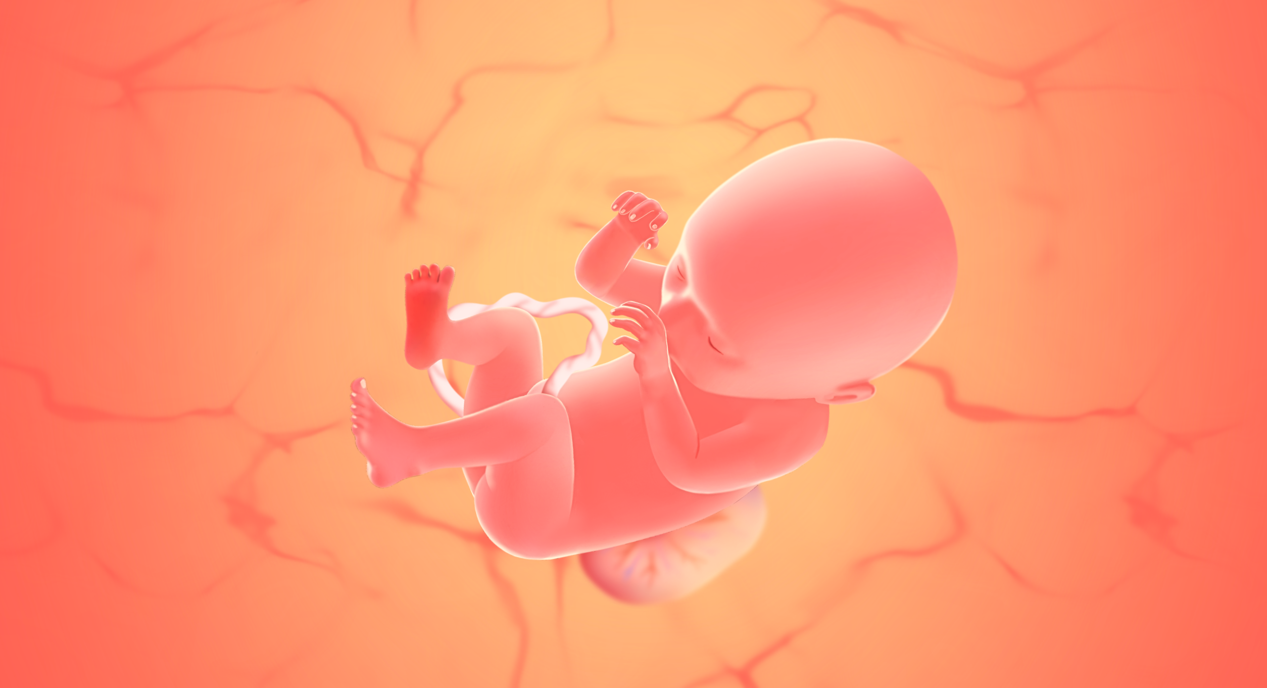 gravid uge 38