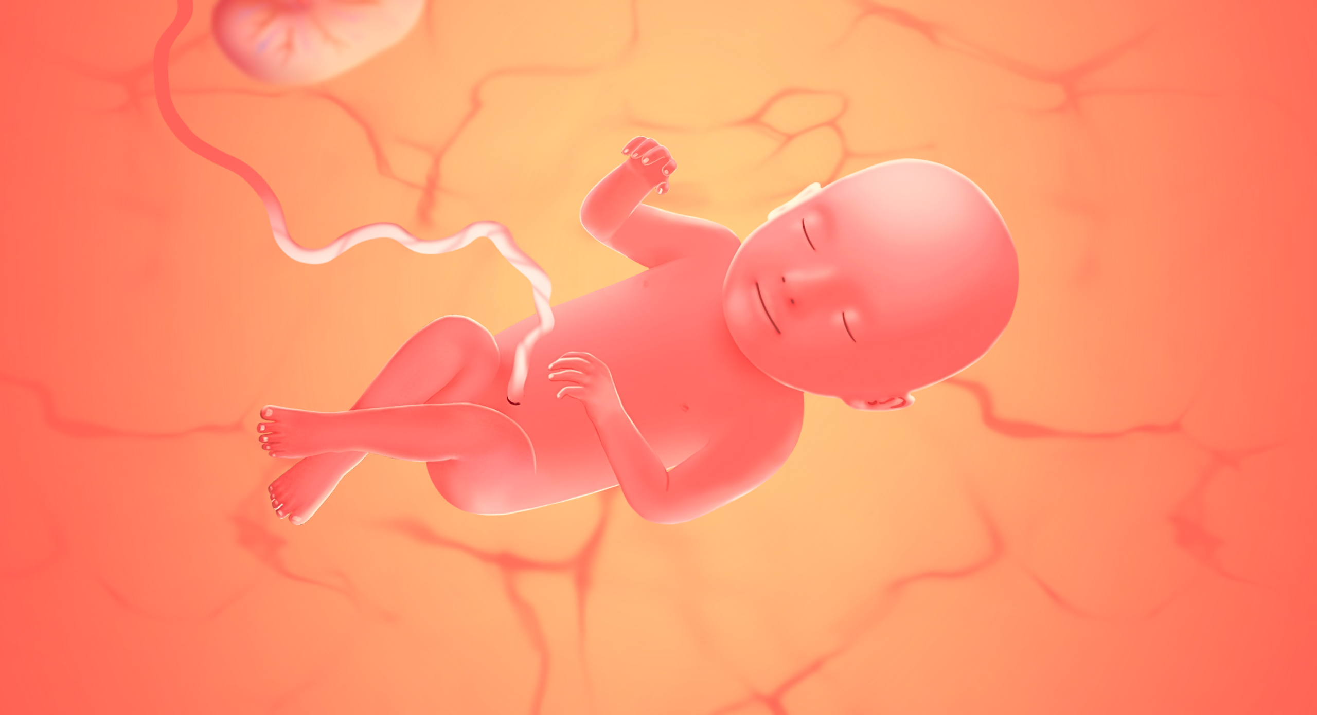 gravid uge 39