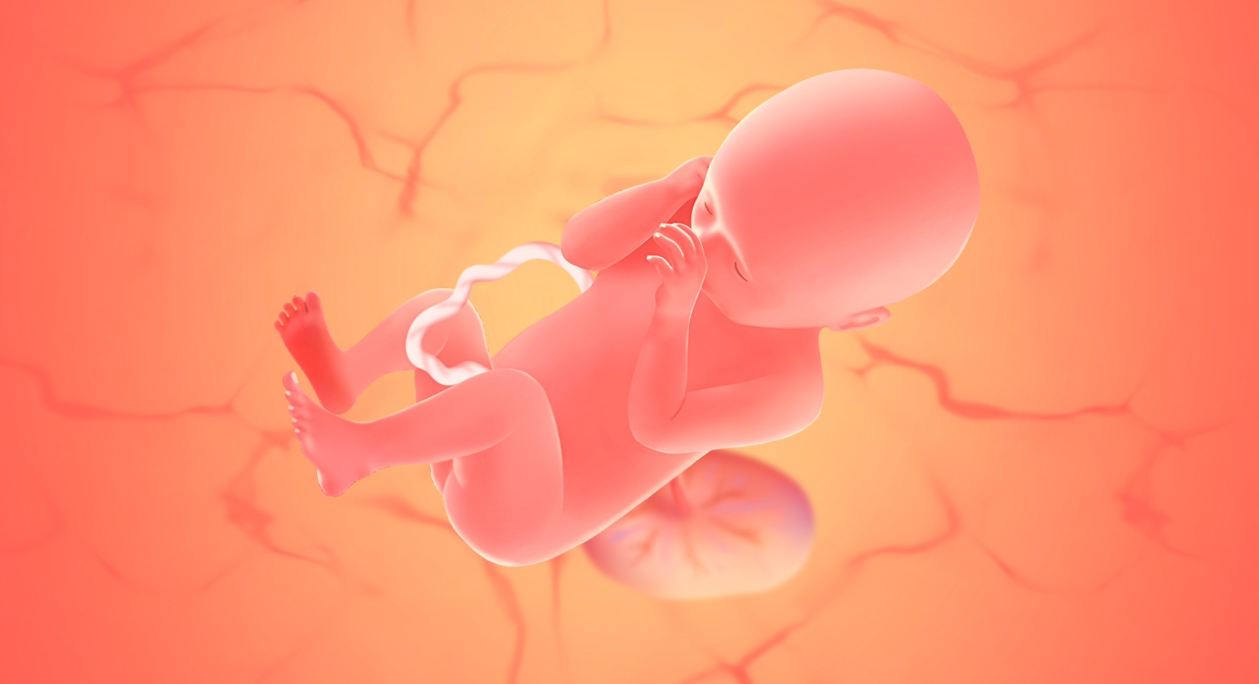 gravid uge 42