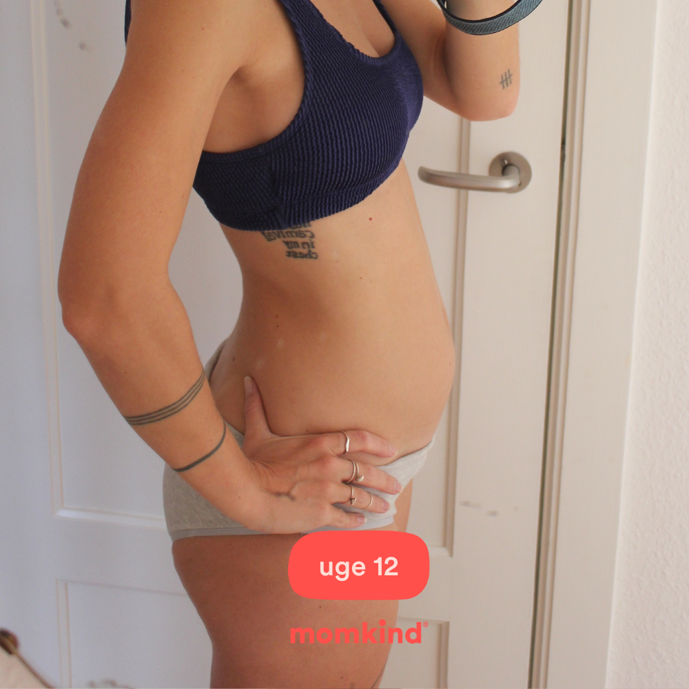 gravid uge 12 billeder