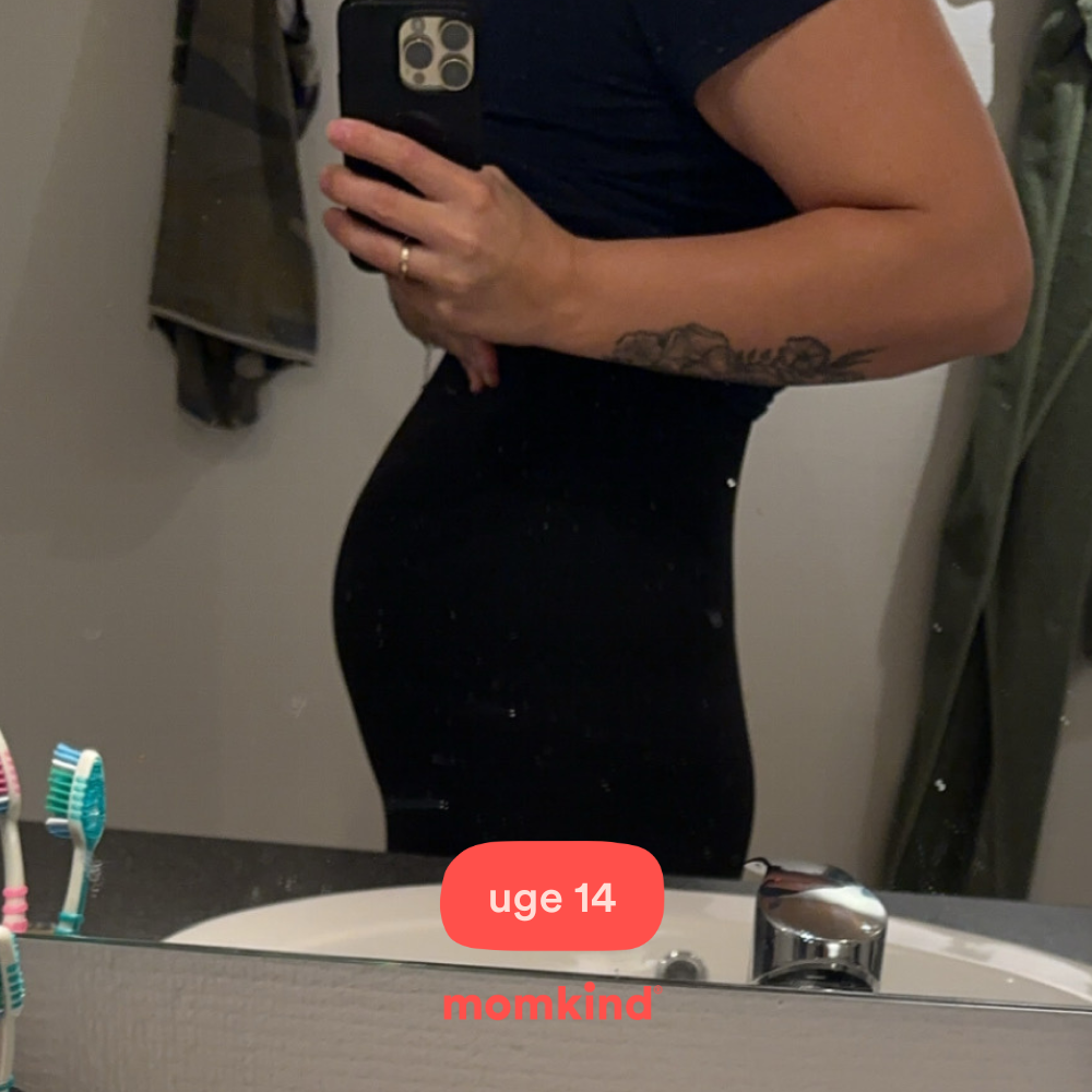 gravid uge 14 billeder