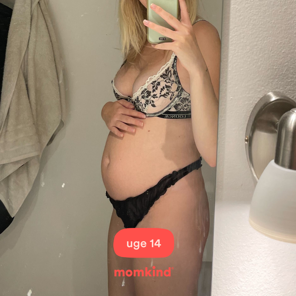 gravid uge 14 mavebilleder