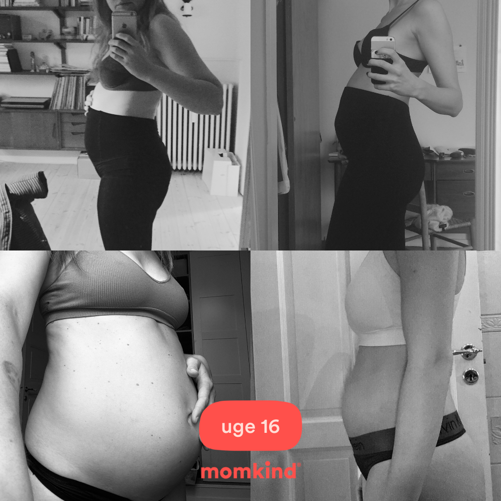 gravid uge 16 mavebilleder