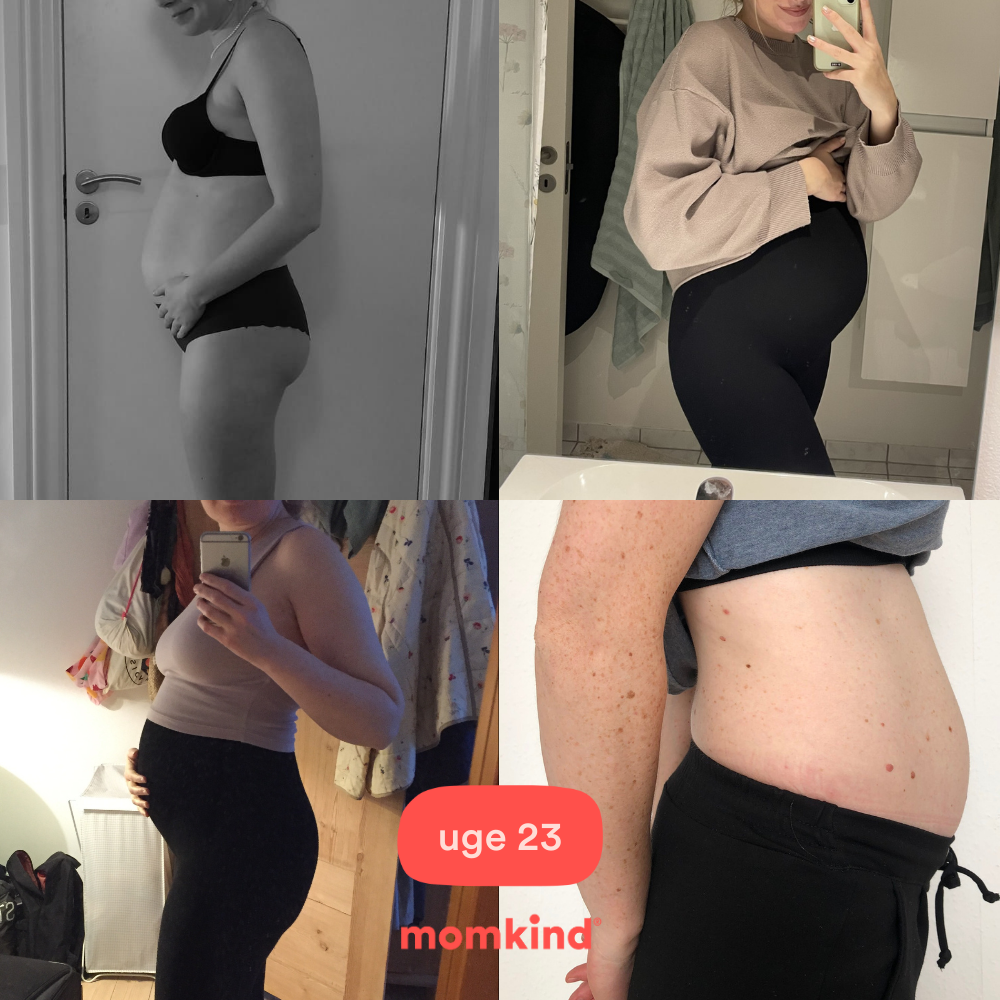 gravid uge 23 mavebilleder