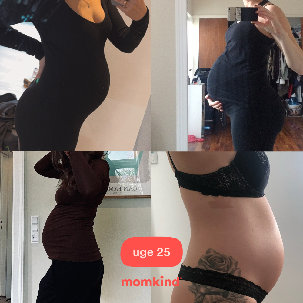 gravid uge 25 billeder