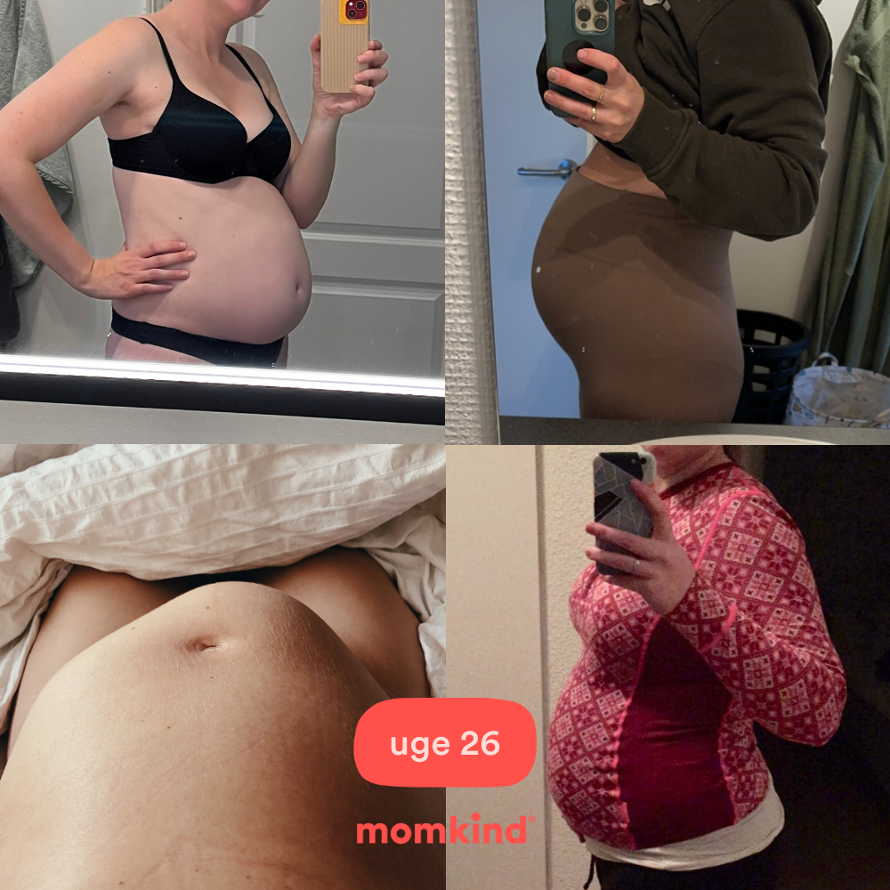 gravid uge 26 mavebilleder