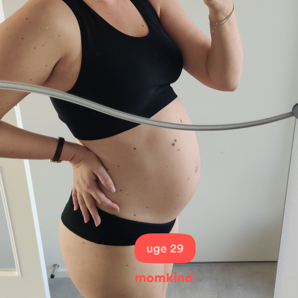 gravid uge 29 billeder