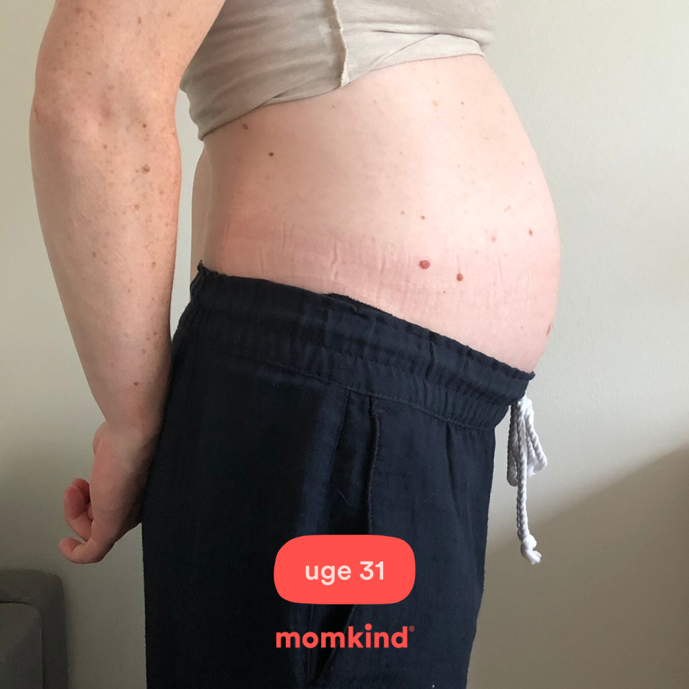 gravid uge 31 billeder