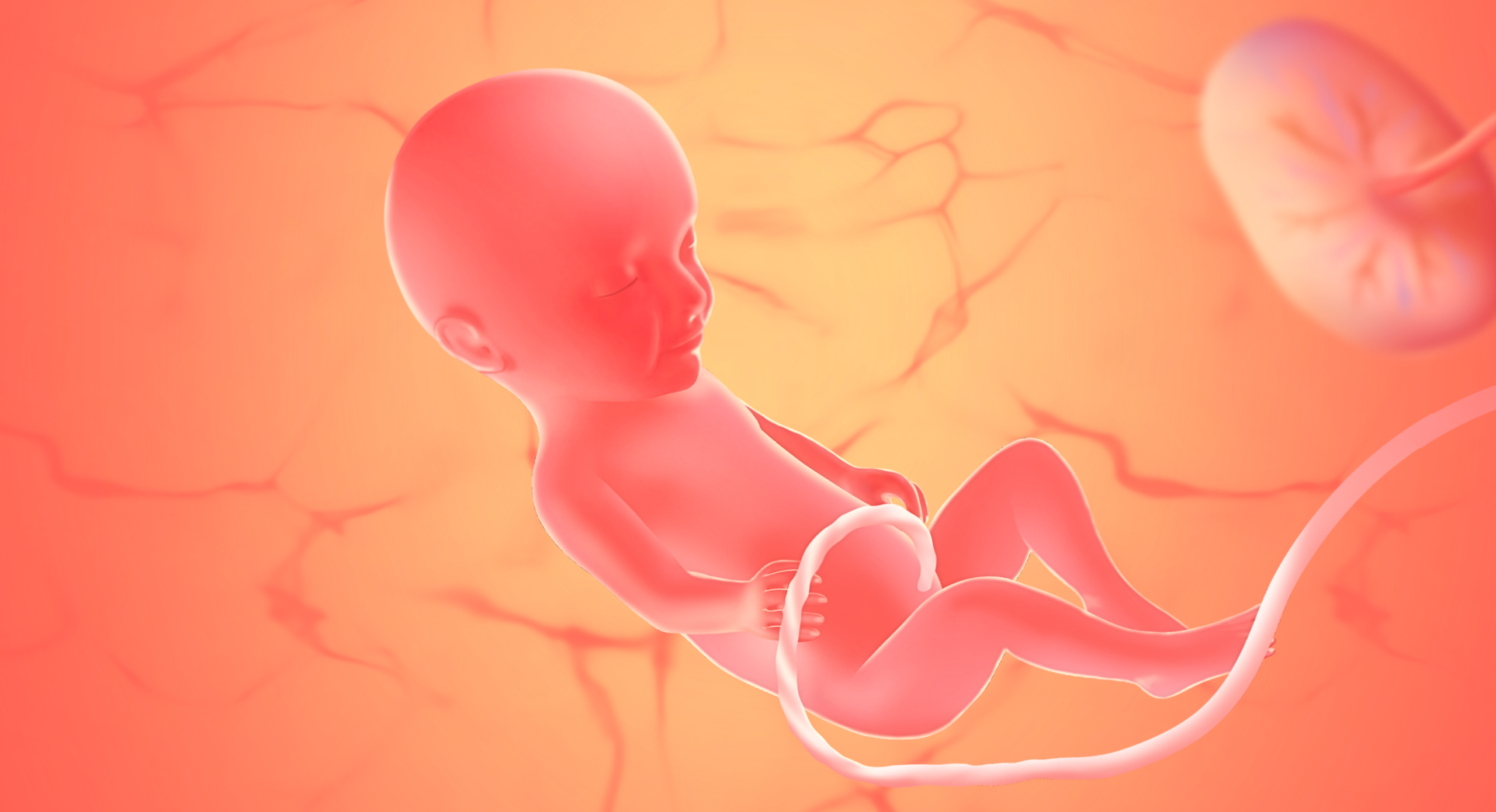 gravid uge 31