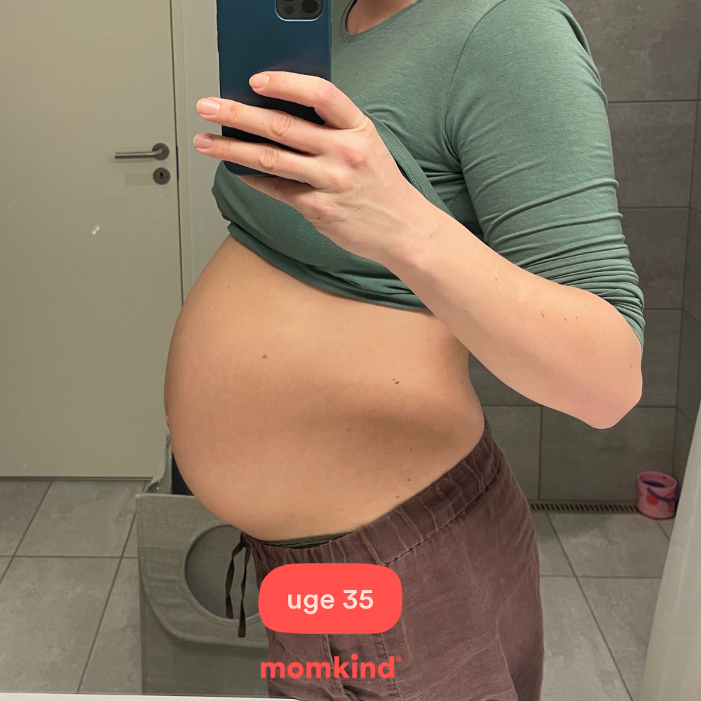 gravid uge 35 billeder