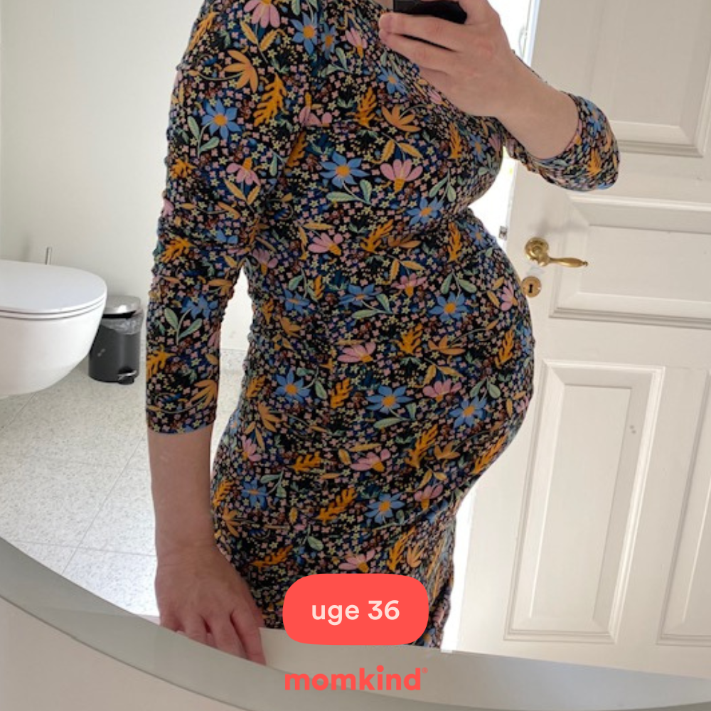 gravid uge 36 mavebilleder