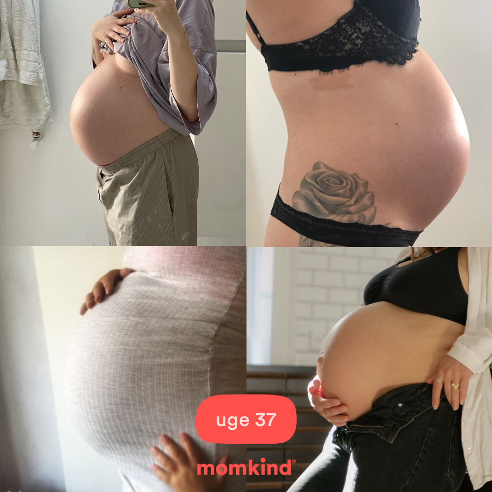 gravid uge 37 mavebilleder