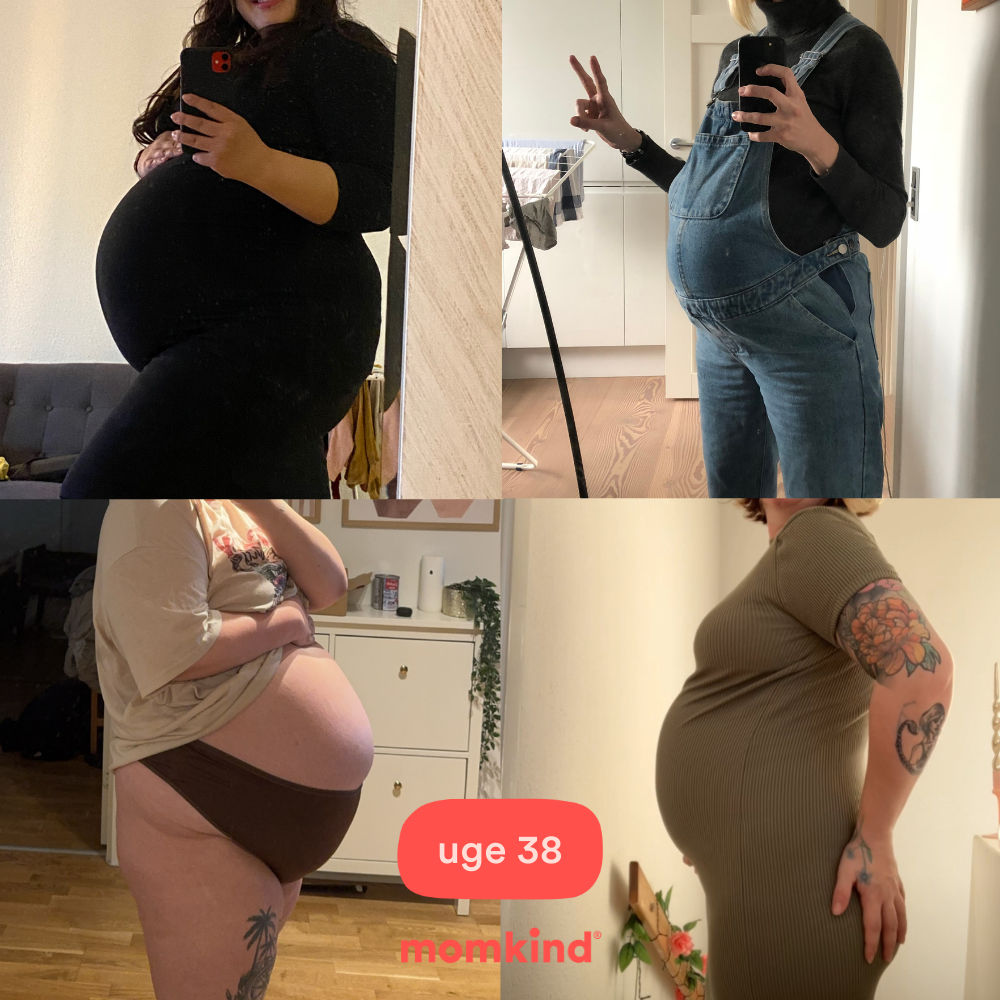 gravid uge 38 billeder