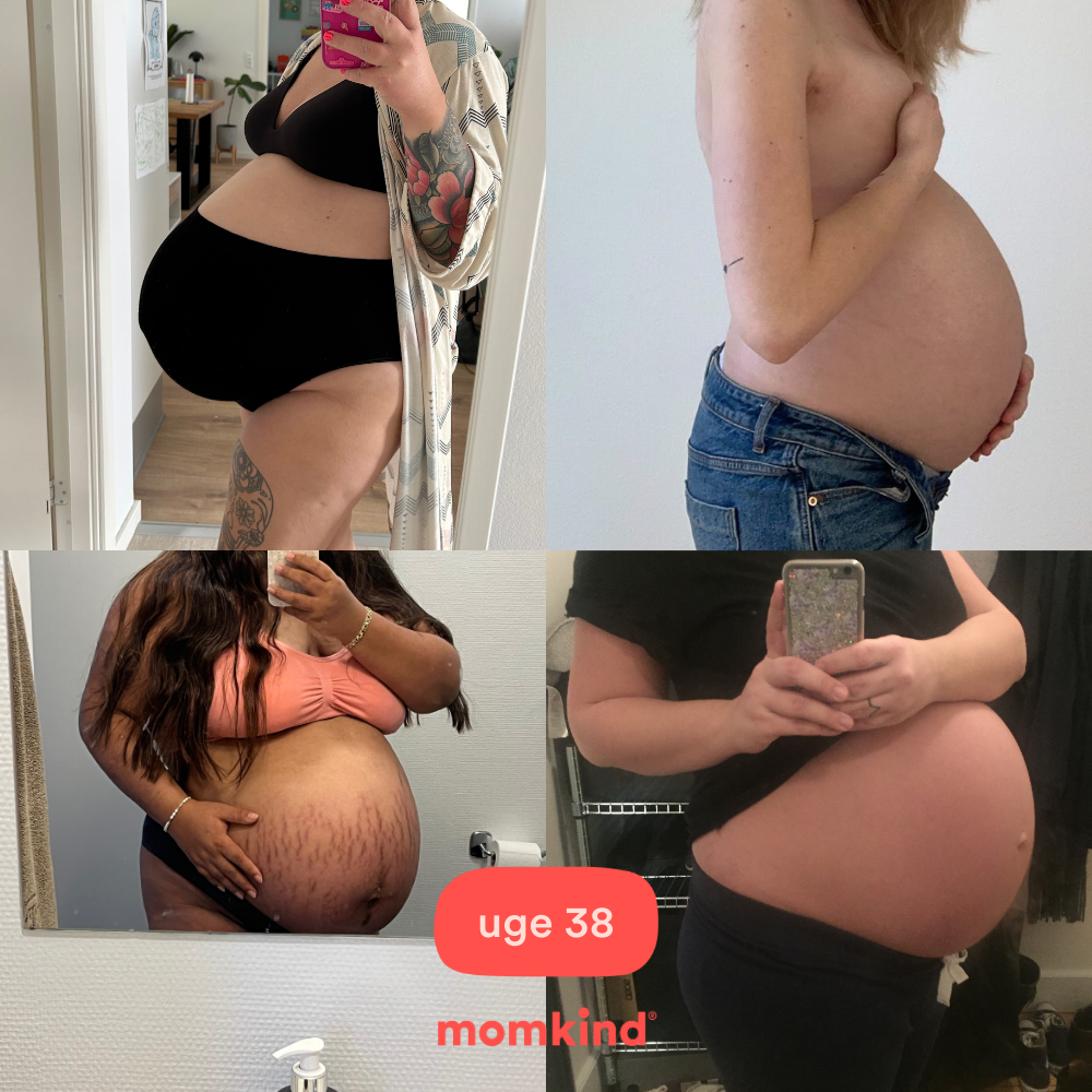 gravid uge 38 mavebilleder