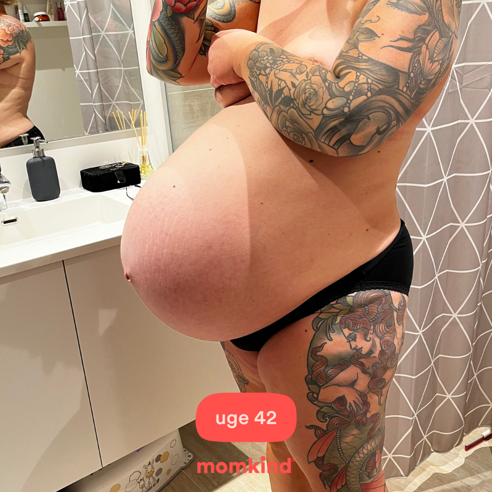 gravid uge 42 mavebilleder