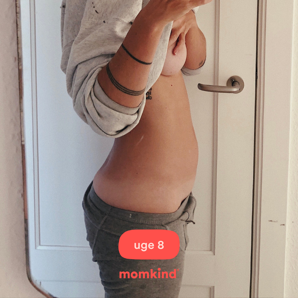 gravid uge 8 billeder