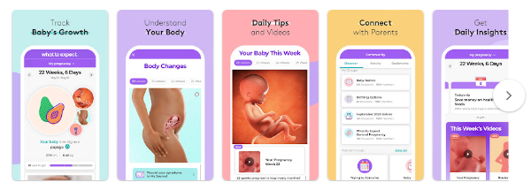 what to expect gravid app